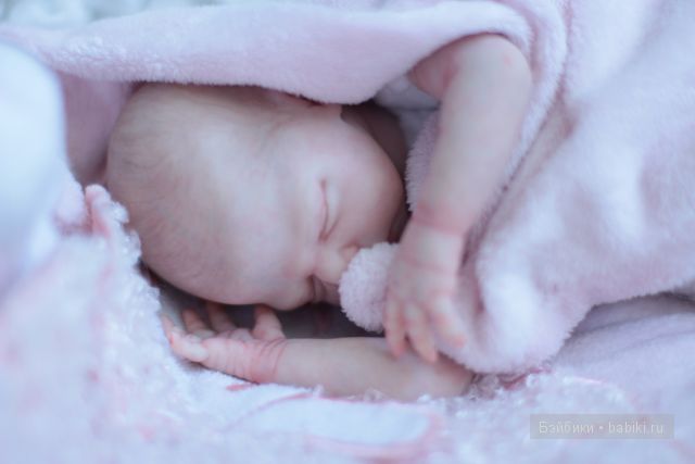 Zachi by Maritta Winters, Дарья Костенко