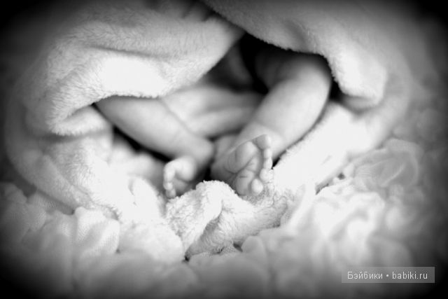 Zachi by Maritta Winters, Дарья Костенко