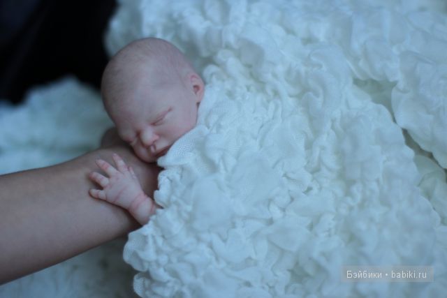 Zachi by Maritta Winters, Дарья Костенко