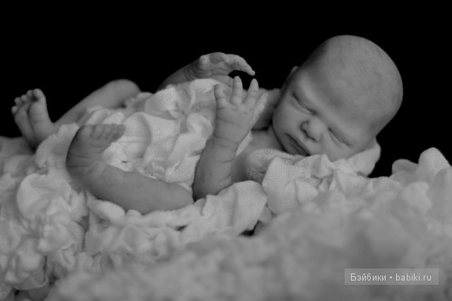 Zachi by Maritta Winters, Дарья Костенко