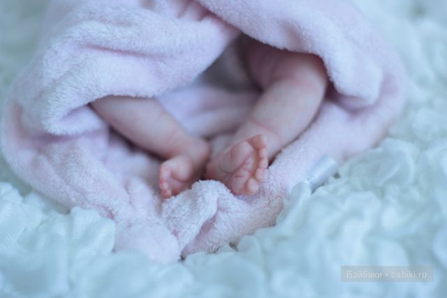 Zachi by Maritta Winters, Дарья Костенко