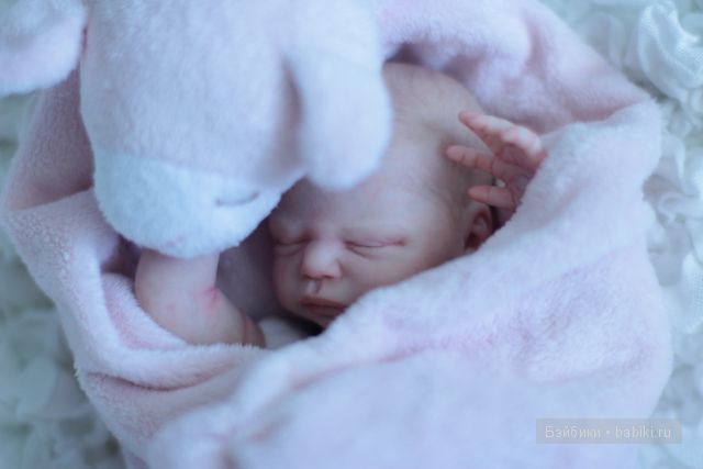 Zachi by Maritta Winters, Дарья Костенко