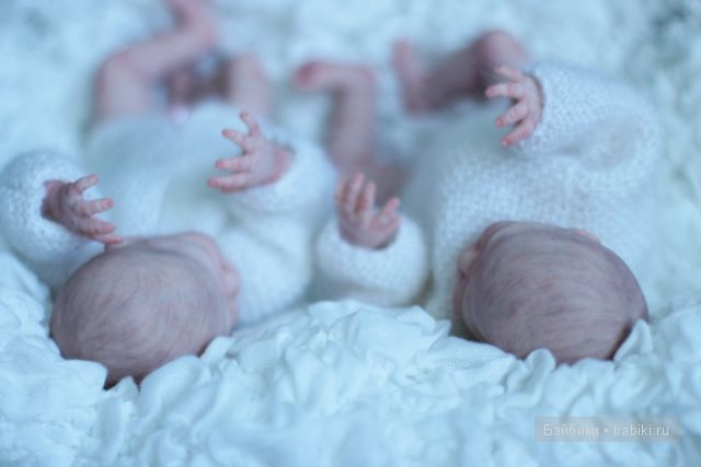 Zachi by Maritta Winters, Дарья Костенко