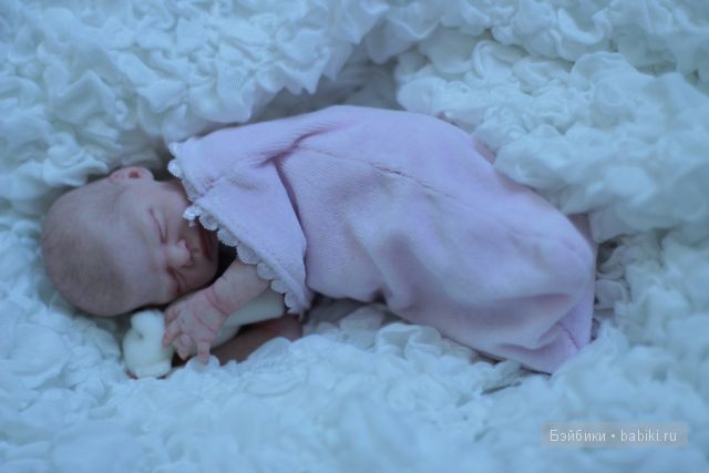 Zachi by Maritta Winters, Дарья Костенко