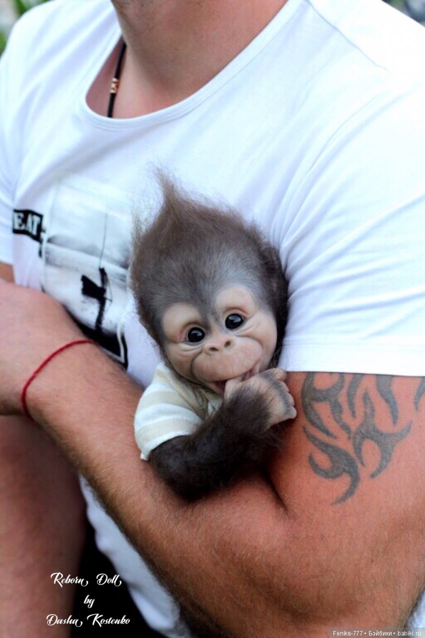 Гарик-удивительный малыш! Обезьянка реборн Даши Костенко (фото 7)
