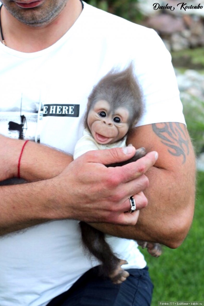 Гарик-удивительный малыш! Обезьянка реборн Даши Костенко (фото 10)