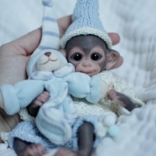 Mini Baby monkey