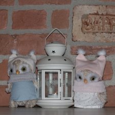 Сова в доме - счастье в семье!