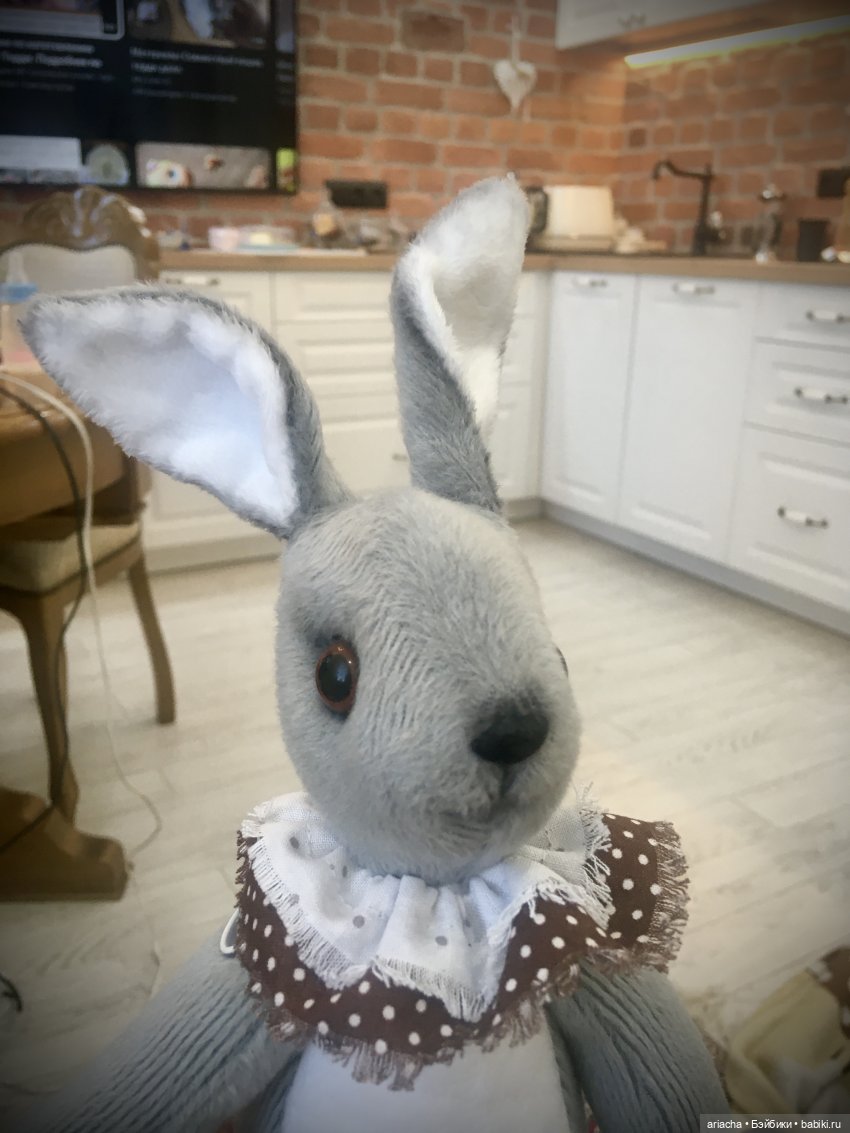 смешной заяц. заяц в деле. заяц и козел. кролик алиса в стране чудес. заяц в деле.