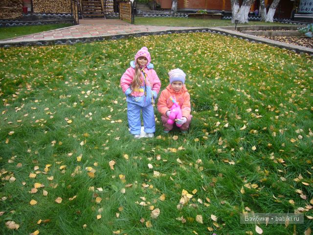 Осень... рыжая подружка! Дачное попури