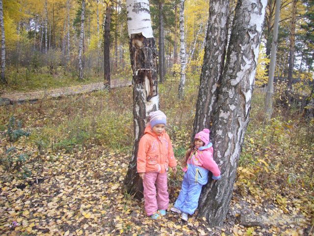 Осень... рыжая подружка! Дачное попури (фото 4)