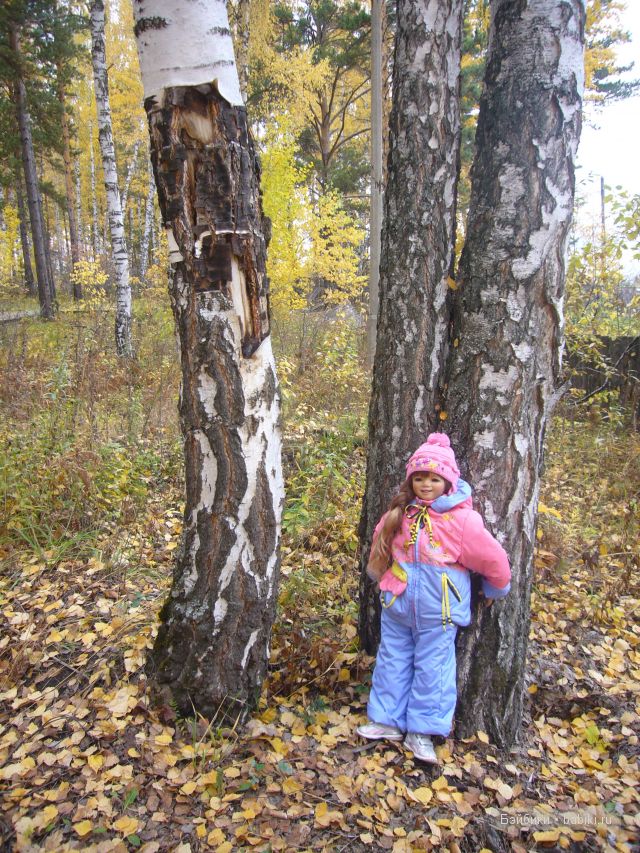 Осень... рыжая подружка! Дачное попури (фото 3)