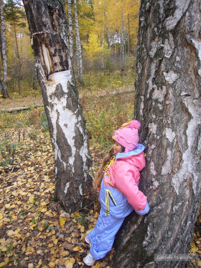 Осень... рыжая подружка! Дачное попури (фото 6)