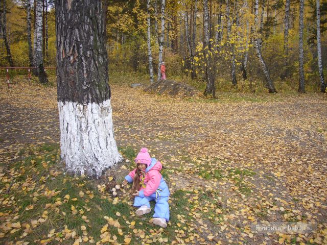 Осень... рыжая подружка! Дачное попури (фото 9)