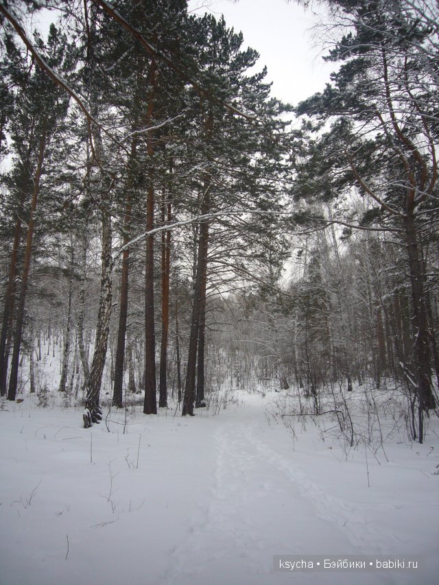 Из чего же , из чего же, из чего же... сделаны наши девчонки?! Коллекционные куклы Tetti, Liska от A.Himstedt