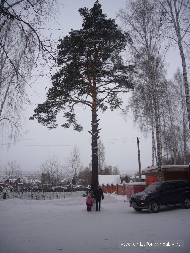 Из чего же , из чего же, из чего же... сделаны наши девчонки?! Коллекционные куклы Tetti, Liska от A.Himstedt