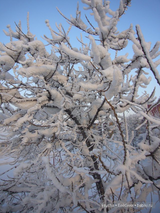 Из чего же , из чего же, из чего же... сделаны наши девчонки?! Коллекционные куклы Tetti, Liska от A.Himstedt