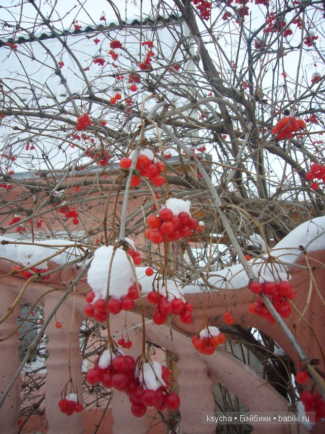 Из чего же , из чего же, из чего же... сделаны наши девчонки?! Коллекционные куклы Tetti, Liska от A.Himstedt