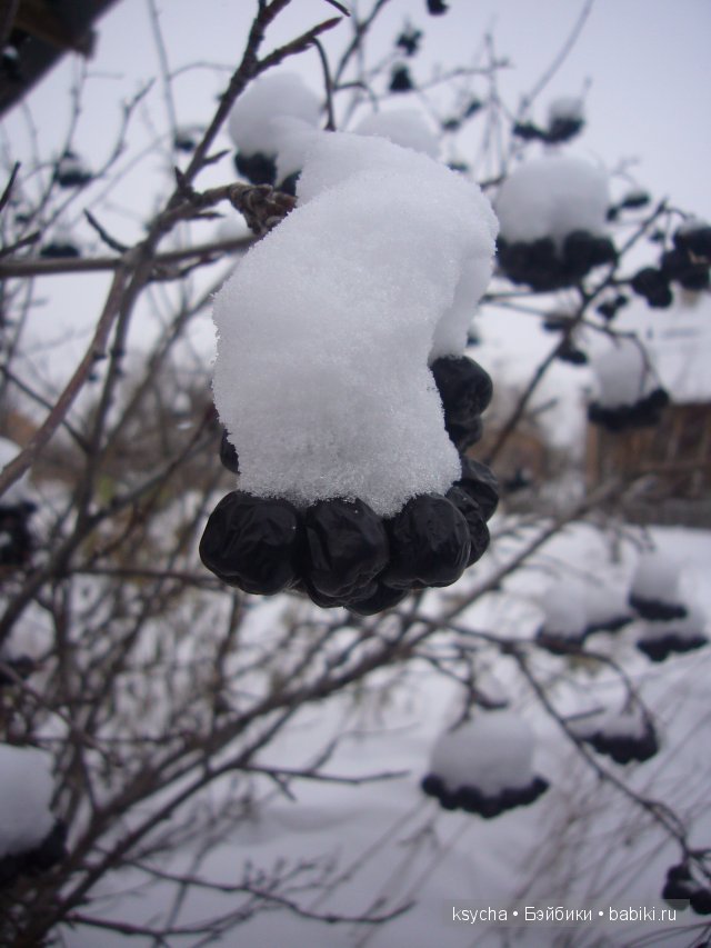 Из чего же , из чего же, из чего же... сделаны наши девчонки?! Коллекционные куклы Tetti, Liska от A.Himstedt