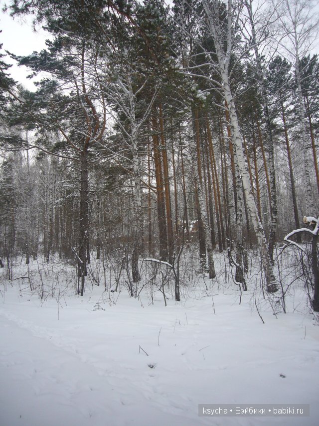 С наступившим Новым годом и с наступающим Рождеством