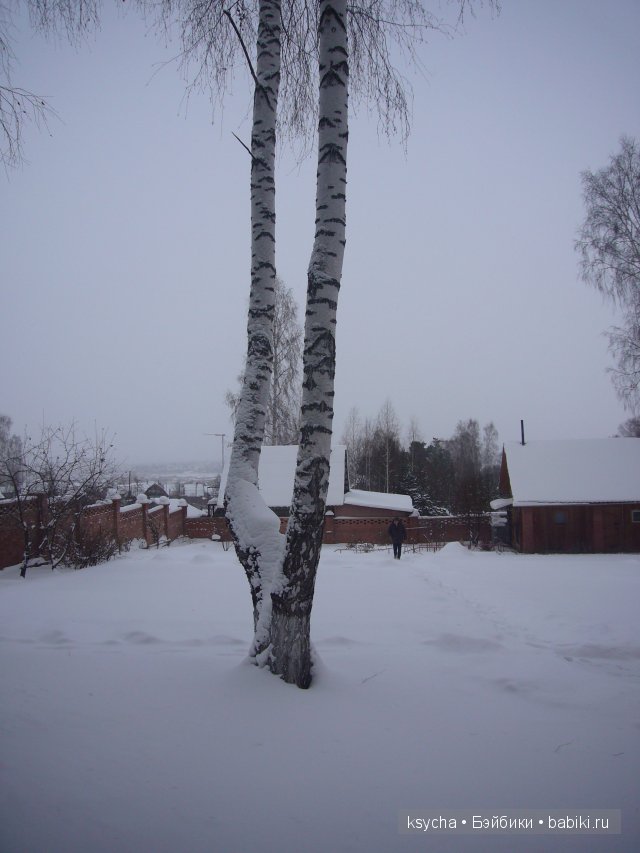 С наступившим Новым годом и с наступающим Рождеством (фото 3)