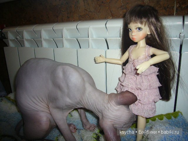 Ягодка созрела... или моя первая девочка бжд Tilli Kaye Wiggs