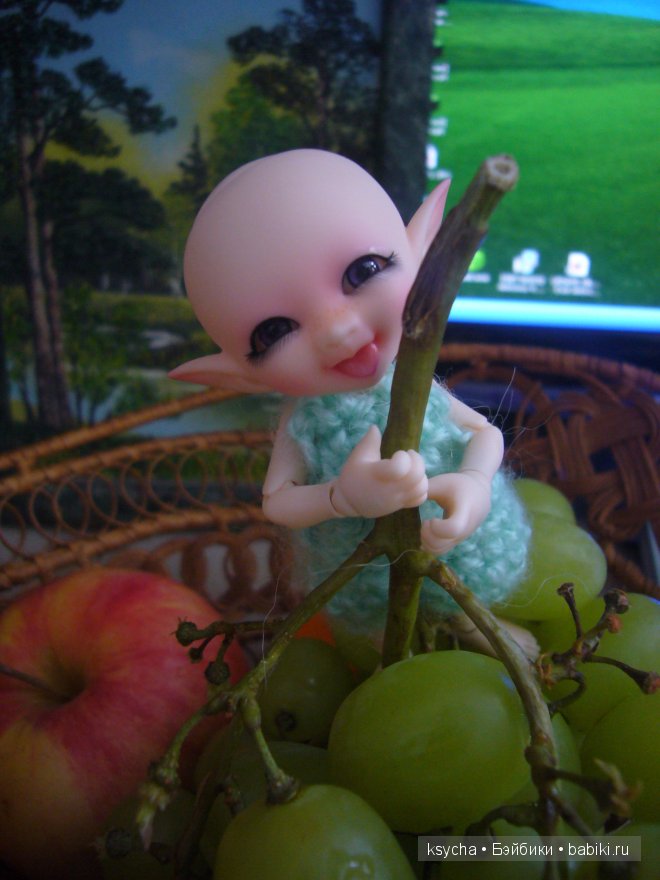 Укрощение строптивого или ....И опять Нафанька шкодит! Realpuki Sira (фото 6)