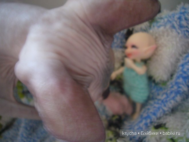 Укрощение строптивого или ....И опять Нафанька шкодит! Realpuki Sira