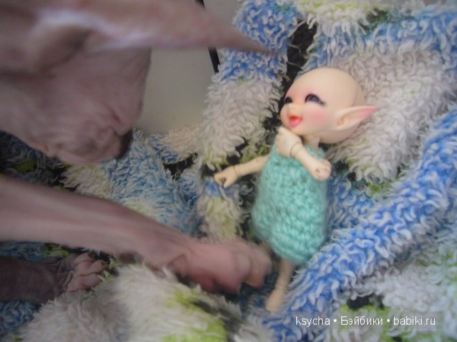 Укрощение строптивого или ....И опять Нафанька шкодит! Realpuki Sira