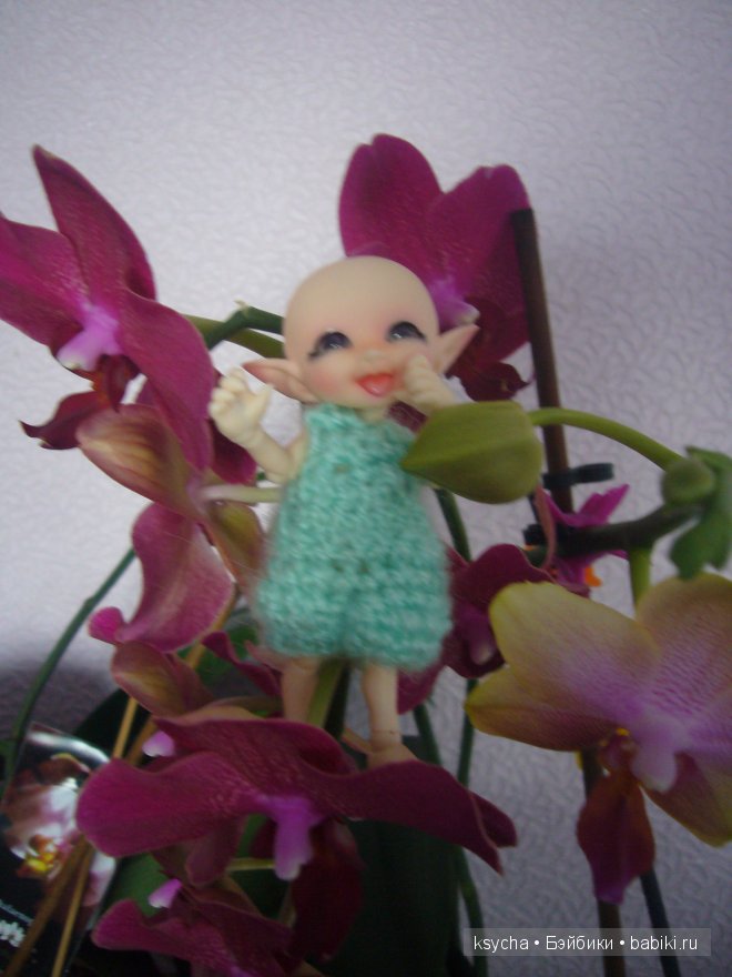 Укрощение строптивого или ....И опять Нафанька шкодит! Realpuki Sira