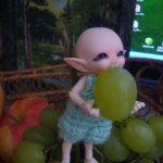 Укрощение строптивого или ....И опять Нафанька шкодит! Realpuki Sira.