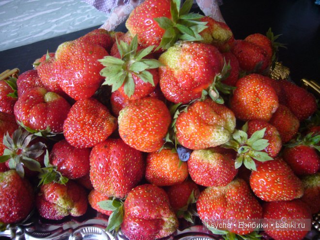 Фиона и пионы. Fiona Kim Lasher