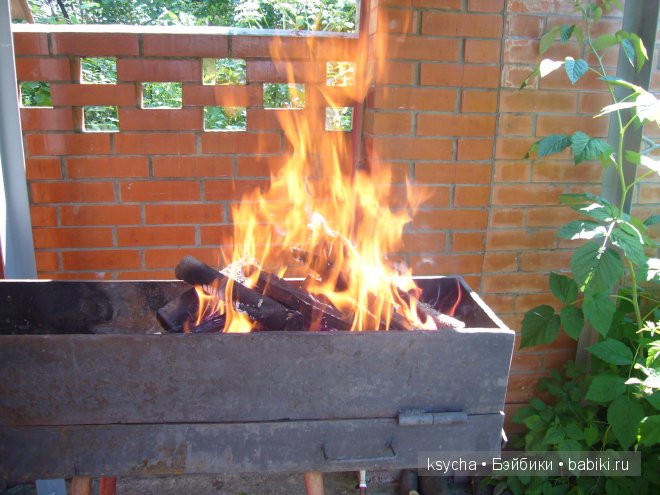 Кто куда, а мы на дачу! Приглашаем к нам на шашлык! Hugo от Annette Himstedt