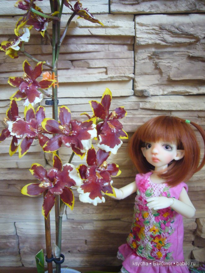 "Цветочные" платьица для Корички. Cinnamon Kaye Wiggs