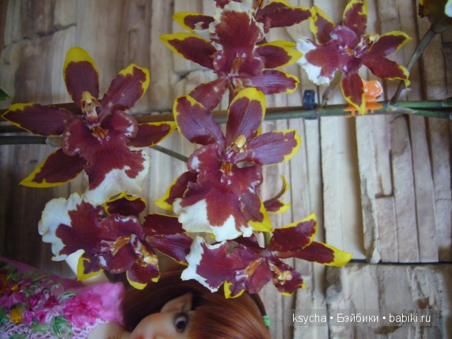 "Цветочные" платьица для Корички. Cinnamon Kaye Wiggs