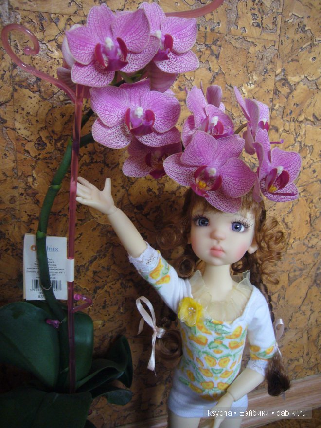 Мои маленькие помощницы Лайла, Тоби и Мей Мей от Кайе Виггс