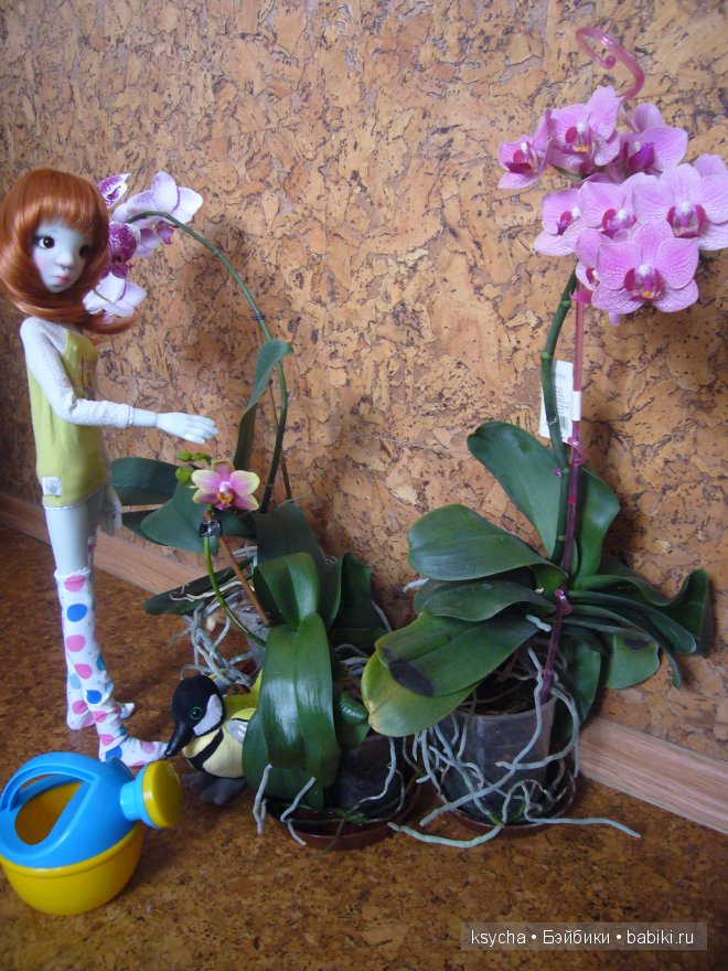 Мои маленькие помощницы Лайла, Тоби и Мей Мей от Кайе Виггс (фото 4)