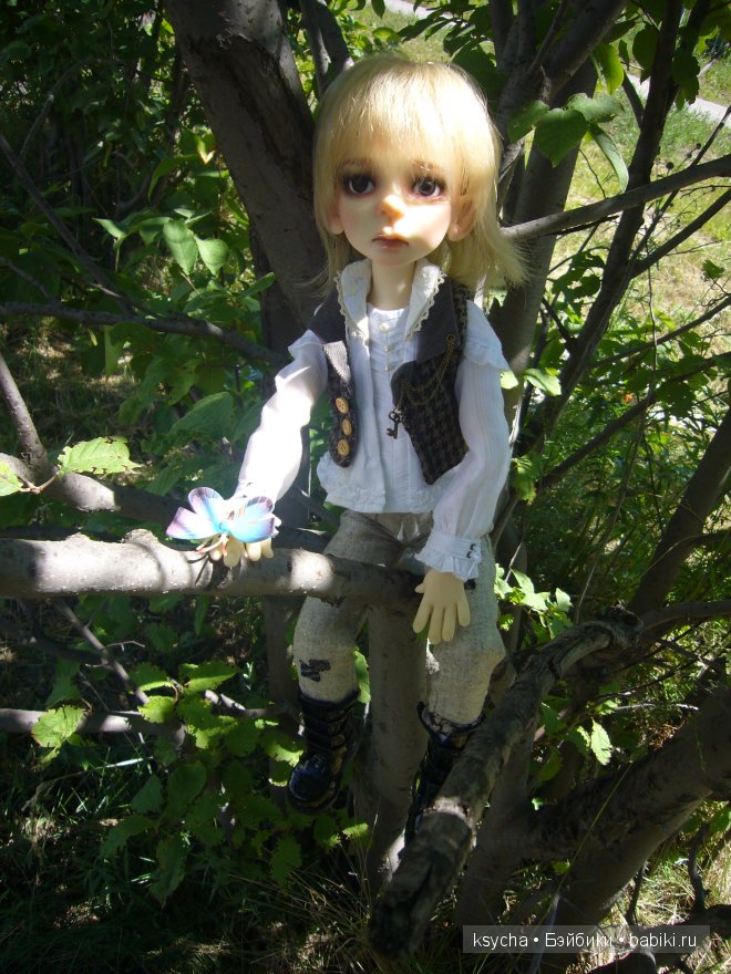 И снова ...Морис (Mauris от Kaye Wiggs)