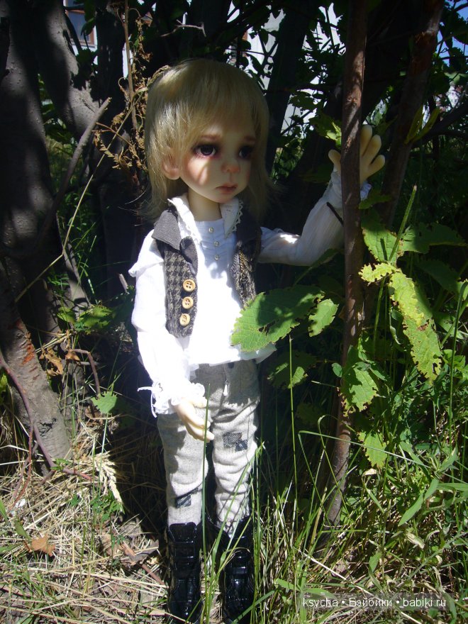 И снова ...Морис (Mauris от Kaye Wiggs)