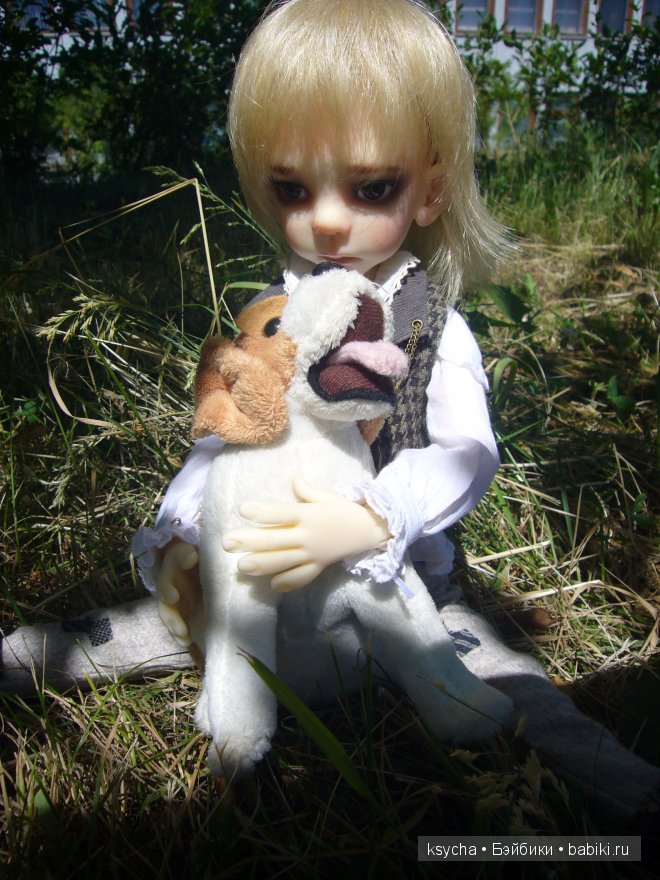 И снова ...Морис (Mauris от Kaye Wiggs)