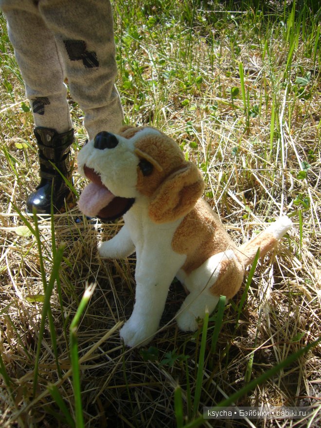 И снова ...Морис (Mauris от Kaye Wiggs)