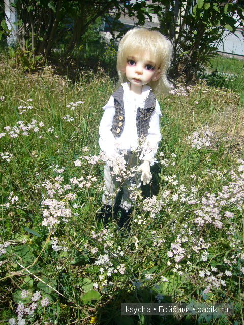 И снова ...Морис (Mauris от Kaye Wiggs)