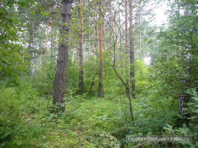 Там, на неведомых дорожках... Nelli (grin) Kaye Wiggs