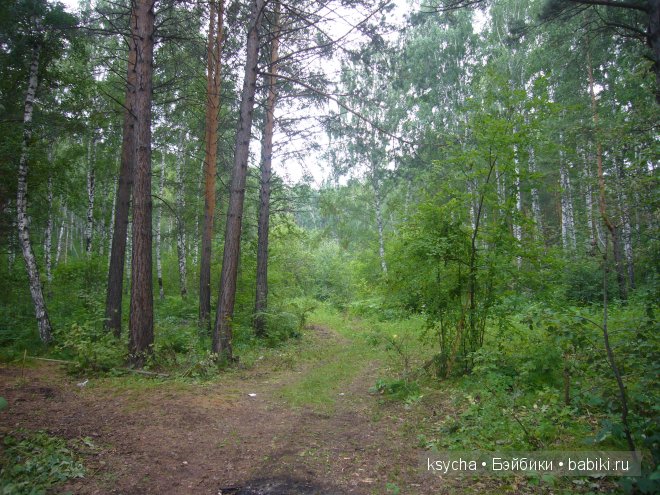 Там, на неведомых дорожках... Nelli (grin) Kaye Wiggs (фото 3)