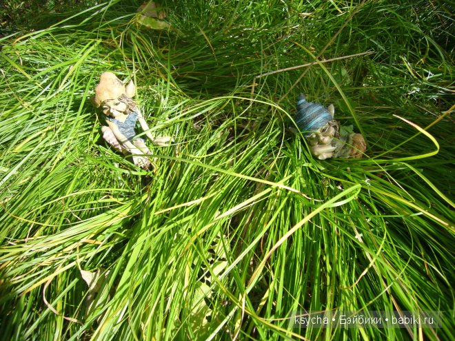 Там, где живут Эльфы....Gagea Lutea Zwergnase