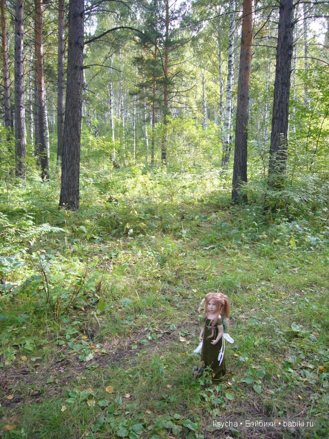 Там, где живут Эльфы....Gagea Lutea Zwergnase