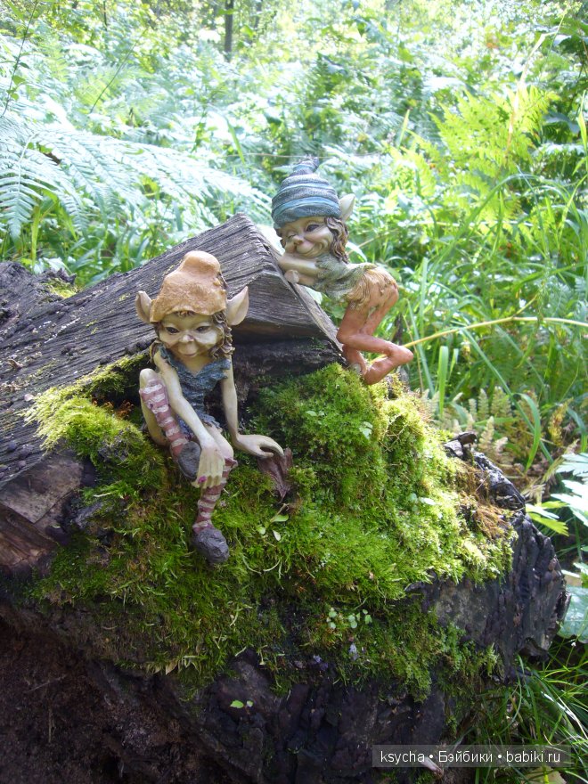 Там, где живут Эльфы....Gagea Lutea Zwergnase