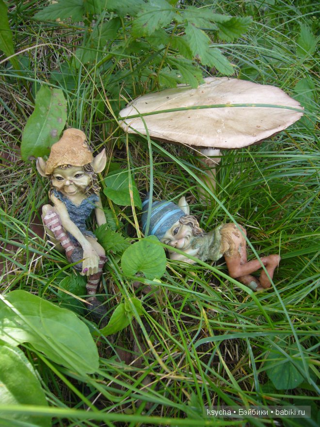 Там, где живут Эльфы....Gagea Lutea Zwergnase