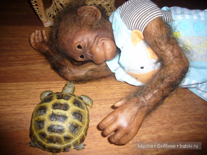 Наша Барби и — Куклы Annette Himstedt (Аннетт Химстедт): коллекционные