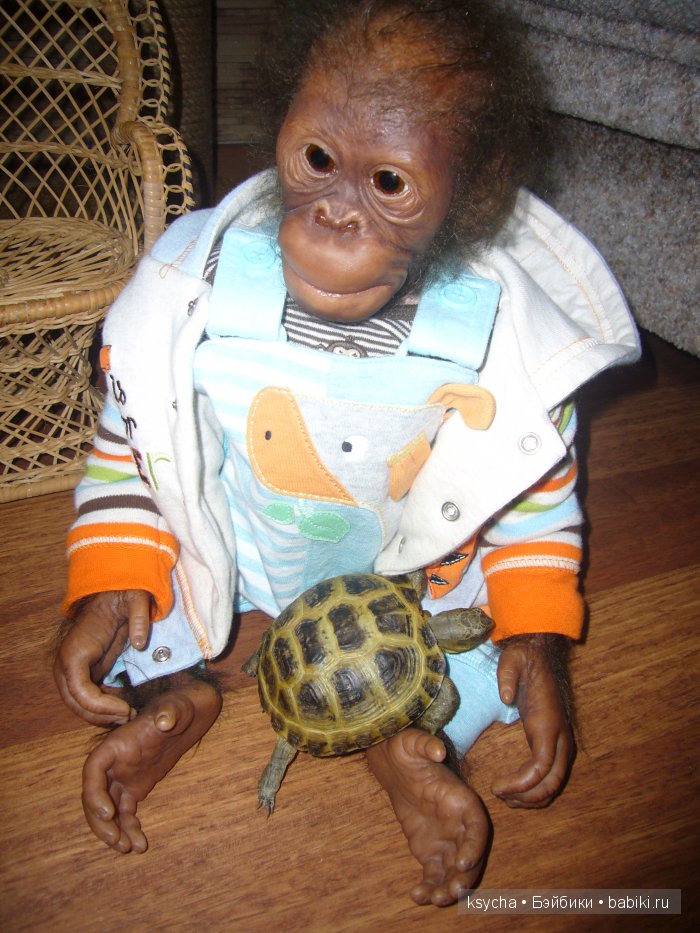 Наша Барби и — Куклы Annette Himstedt (Аннетт Химстедт): коллекционные